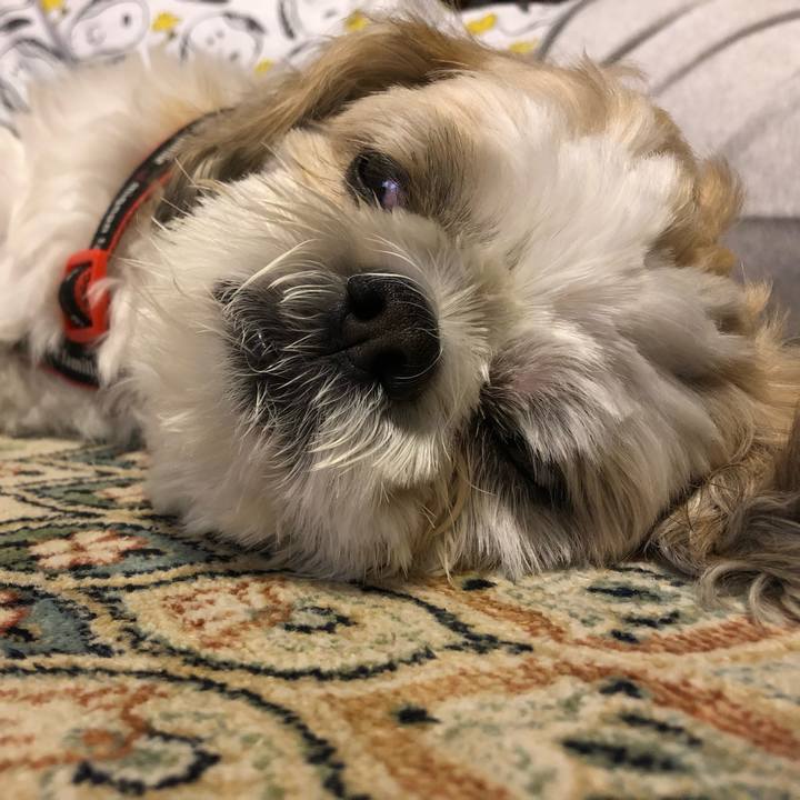 04ab736e e298 4698 bb8a 743825babd65 1576014504633