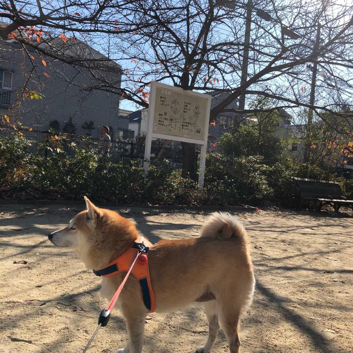 04abae8c 1b47 4284 818c 931d3547d63e 1576473930017