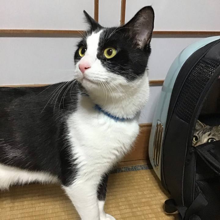 04abfbd7 78a0 4cef a0ea cdfa31f94606 1701252742443