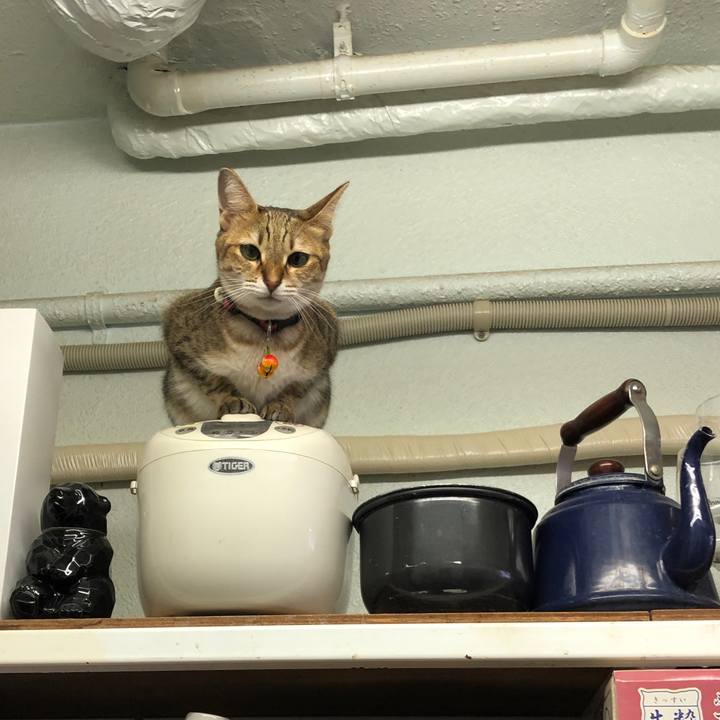 04ac03a8 c33e 4039 9e0a 17506ae2097e 1665118950912