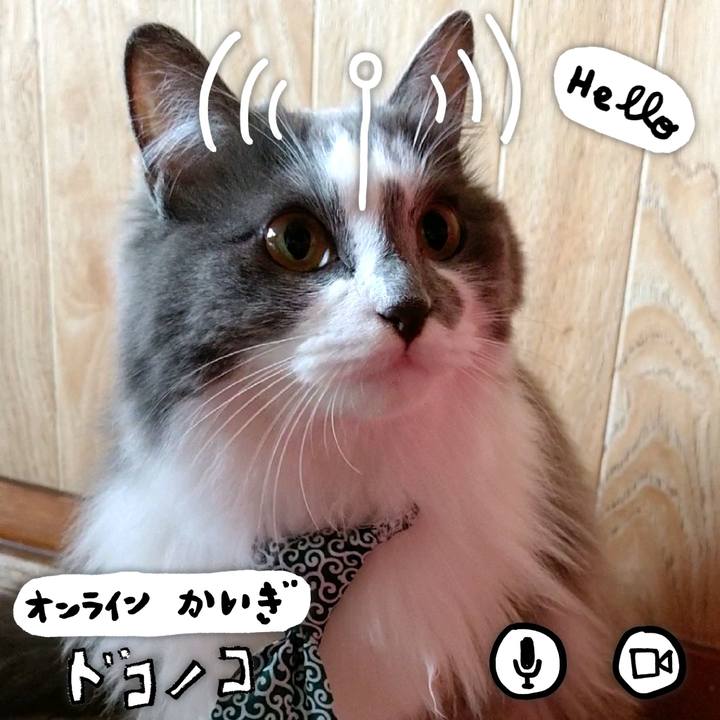 04ac3224 b0ca 4d58 9a8d 7aa23d9ec6fe 1590895990346