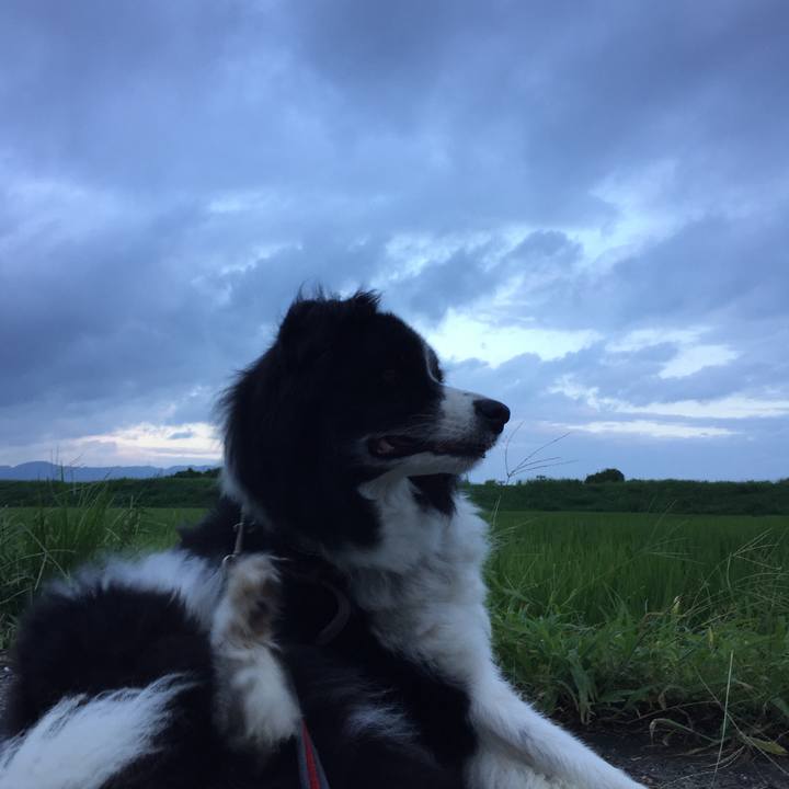 04ac636f 87ec 4f6f 857b 20c6ead59d87 1565906367916