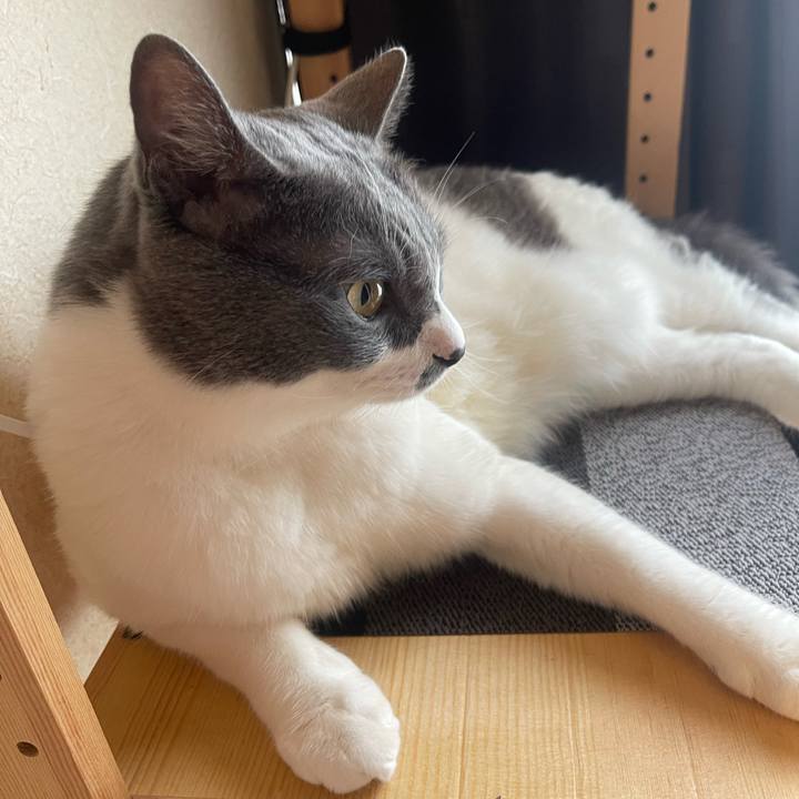 04ac7024 6f8f 4579 b604 37dae8747ac4 1752019606640