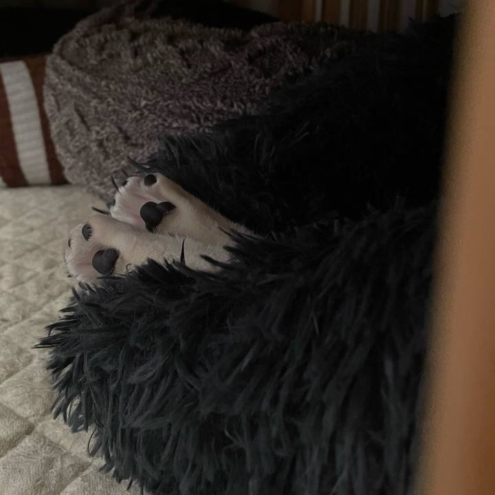 04ac8072 e7fd 4bd3 a663 ed2e41e8ca57 1711587640601