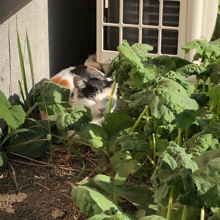 04acb7a9 8b99 4626 8bf8 33ec0cda4709 1605093768832