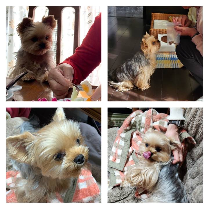 04acf0f5 034b 41f2 91ca a92770244732 1698496322688