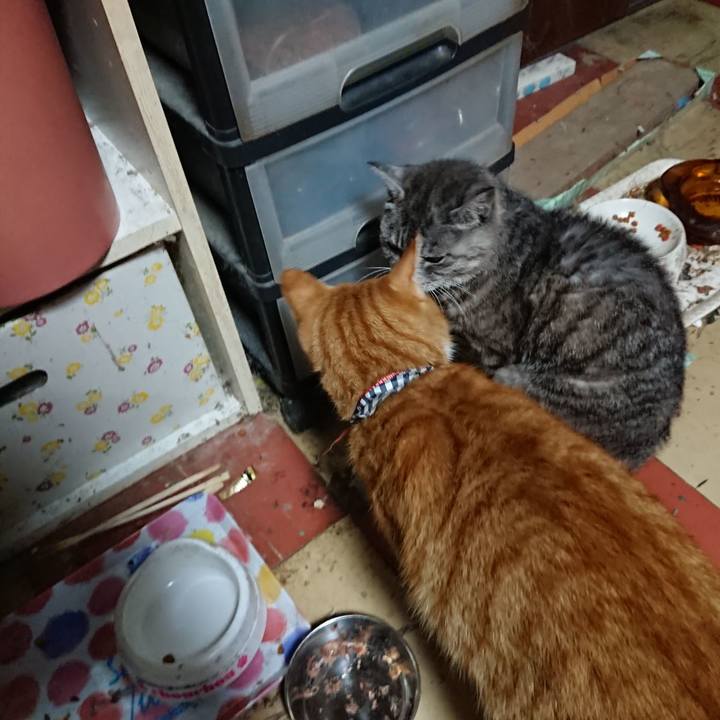 04ad1b6b 22cb 49c9 ac1f 9e83f1342d79 1569526717844