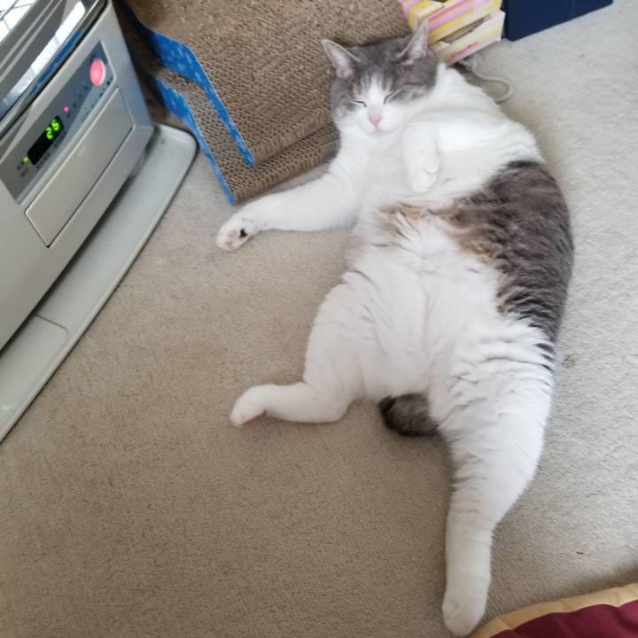 04ad27a3 f02b 4977 9c87 c4d00cb71c71 1625462656565