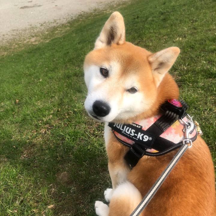 04ad35b2 ff5f 4afc 9de3 f32b2263960c 1555980465973