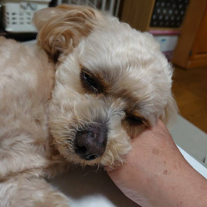 04ad50a1 8ec7 47c9 8941 41f17c901296 1589799506074