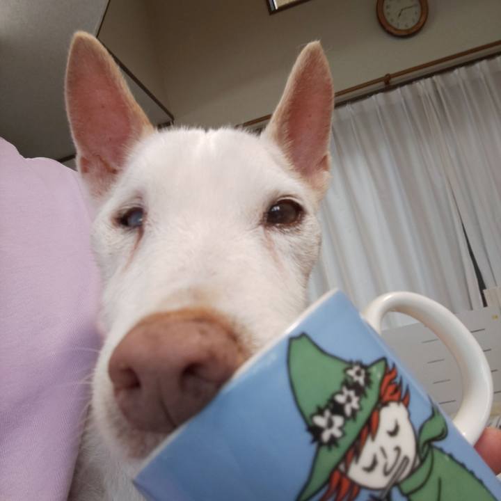 04ad63bc 78a5 4860 98b2 e223413ac766 1569277772822