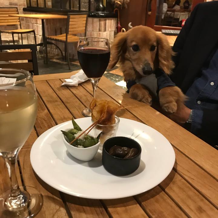 04ad8421 dd46 4486 bda2 453a7ba37584 1524829683713