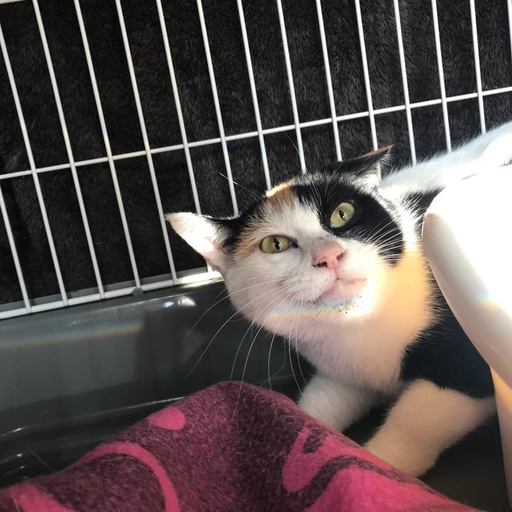 04ad9e80 9b0f 4ecf 9621 81bcaa5556af 1511835564589