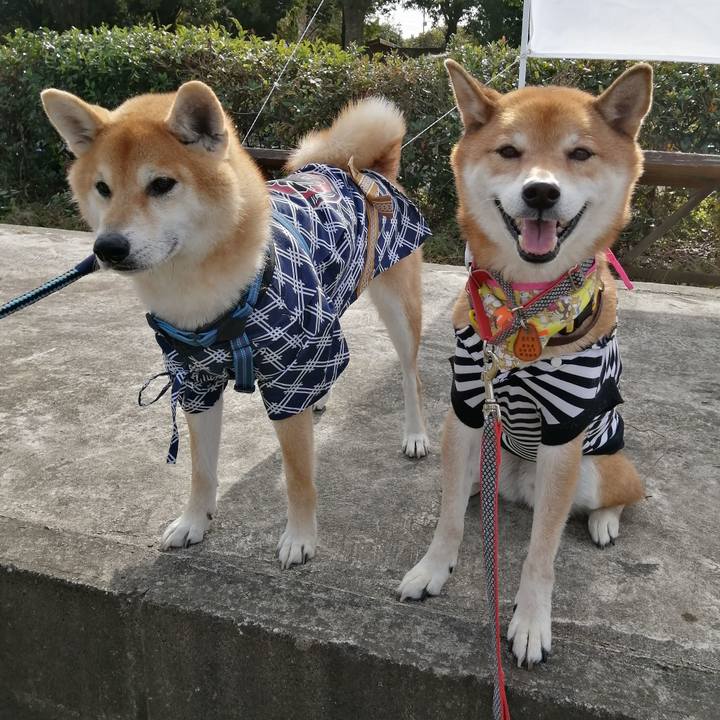 04ada313 b5c9 4b98 b64f 3f80f93c44f5 1636294113695