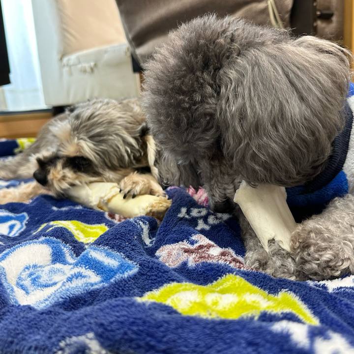 04adbcb5 4596 443e 99aa 826dd6a13eb4 1707693796202