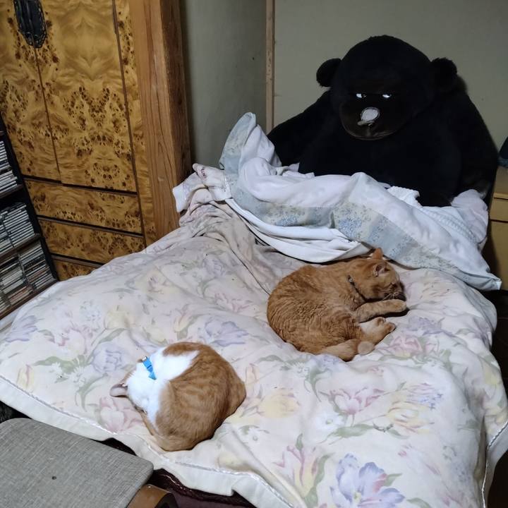 04adc811 28ea 4cc3 b69d 8a657e5e1eec 1732275932714