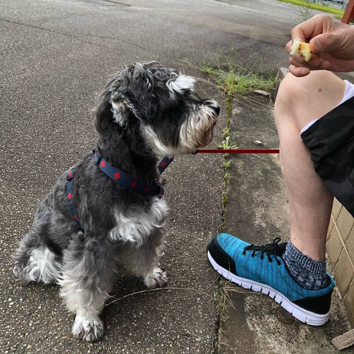 04adecf3 7864 493a 8a81 2e6a262faeb3 1630714955214