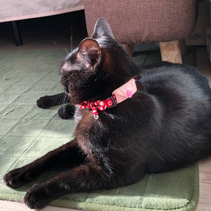 04aef2ed e66c 47f8 80b2 55050078a4ab 1618183409494