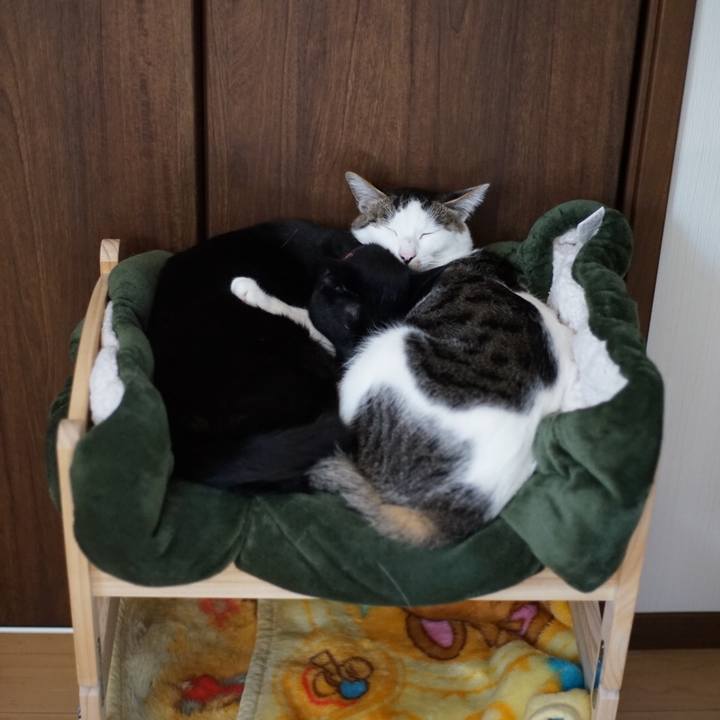 04af03a9 b4a2 4e84 a611 47d974f6c86d 1521266820852