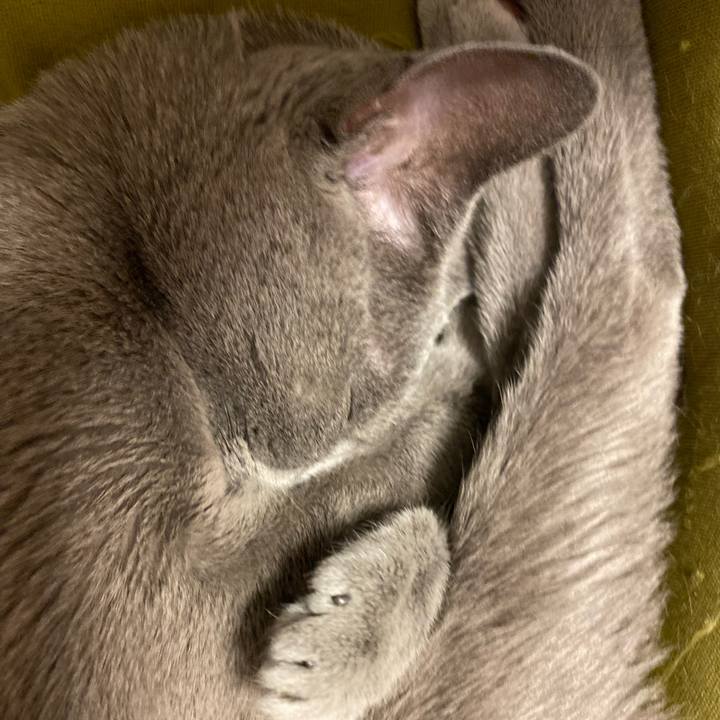 04af0a69 2f1f 4c1e a46f 6acd8b05188e 1682587708741