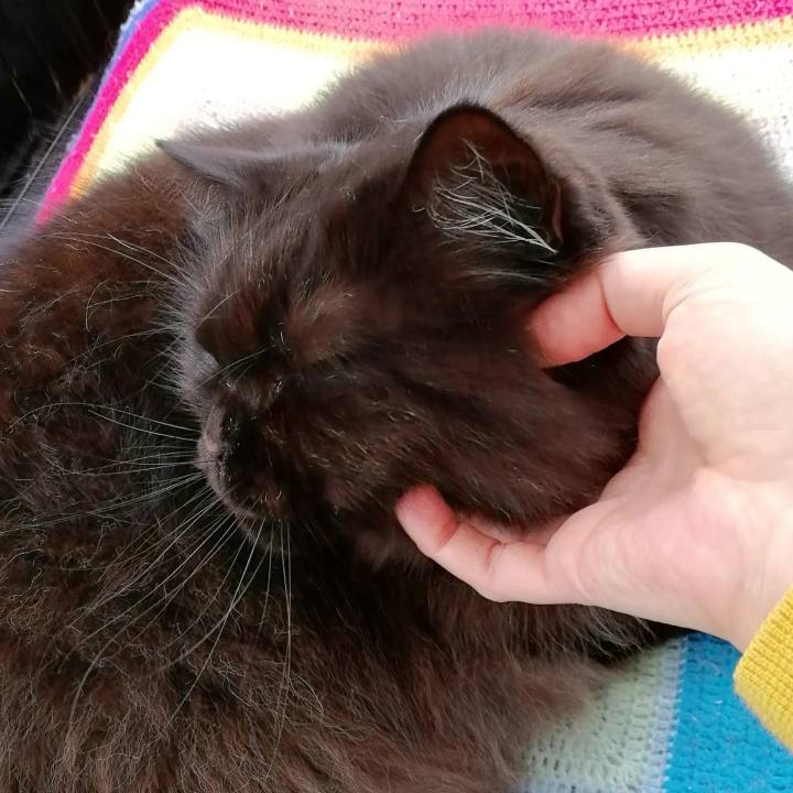 04af10b0 57e5 4382 96d0 cebdaaee2de9 1672387414292