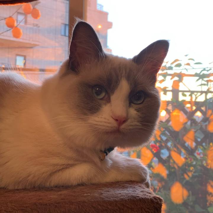 04af2e5b ae2a 4f29 b7bc d6c3ebb746ff 1635024685847