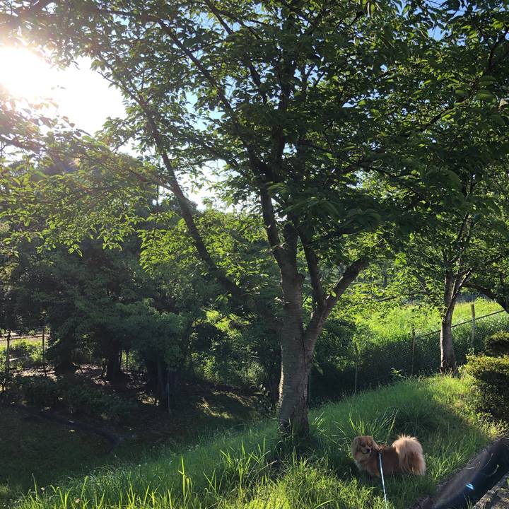 04af36c3 bbcb 4e2d bf4f a32bc8eea5df 1561412264979