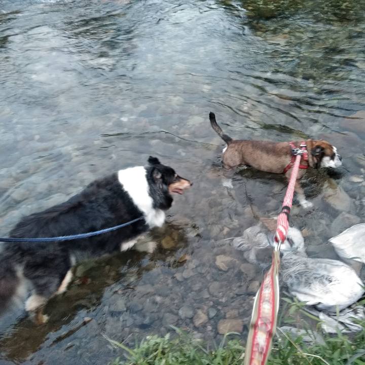 04af40d0 69fb 4285 900d 60d5b9d8b4d0 1566738437779