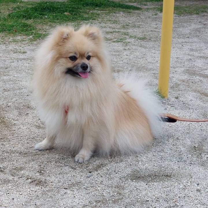 04af6dc8 efcd 4019 9588 c6e7d8ded86e 1650772590490