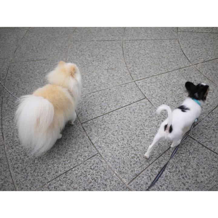 04af7512 dea9 4401 827d 51cdb4eb99cf 1600499005342