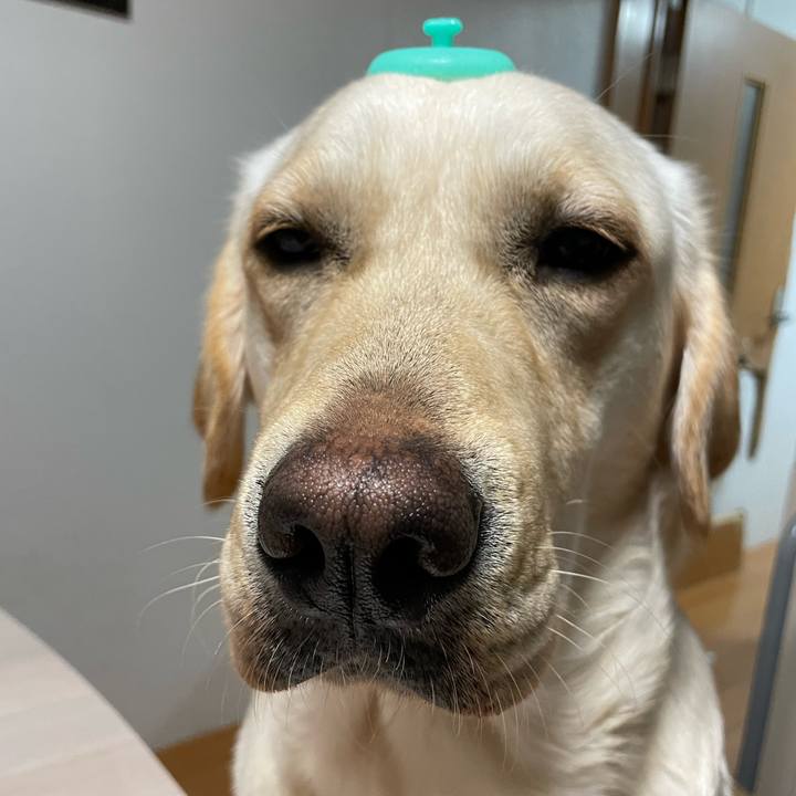 04af7c45 f6d5 454e 9633 39c54dc4dd66 1651580422051