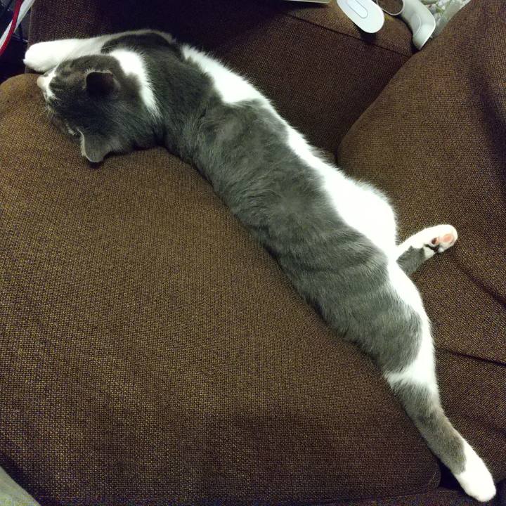 04afacfe f7ef 4274 9bbc a7fe443e9b56 1601200486674