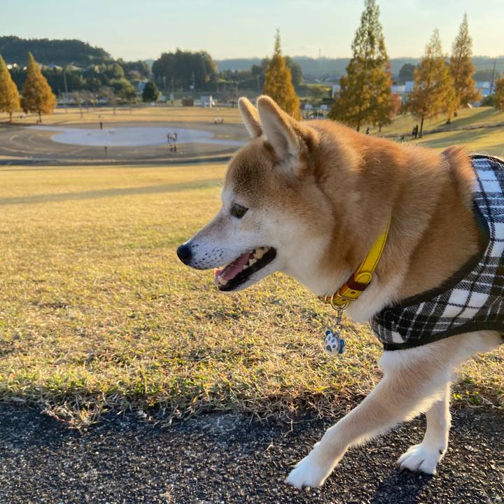 04afc412 636a 48c6 9f41 2d9a2fc40bd4 1639491133443