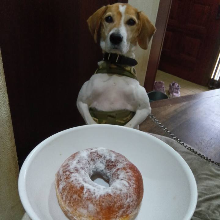 04afdd45 9087 4cb1 87cc 835d1f6d0318 1733477404331