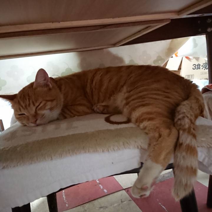 04afe83b fd6d 4c51 bd50 fa33642aae14 1565646072333