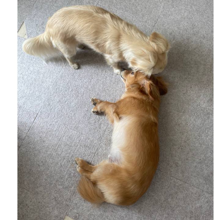 04afee60 4a43 4ed0 8f5f 2def7f0dcbdc 1687063437365