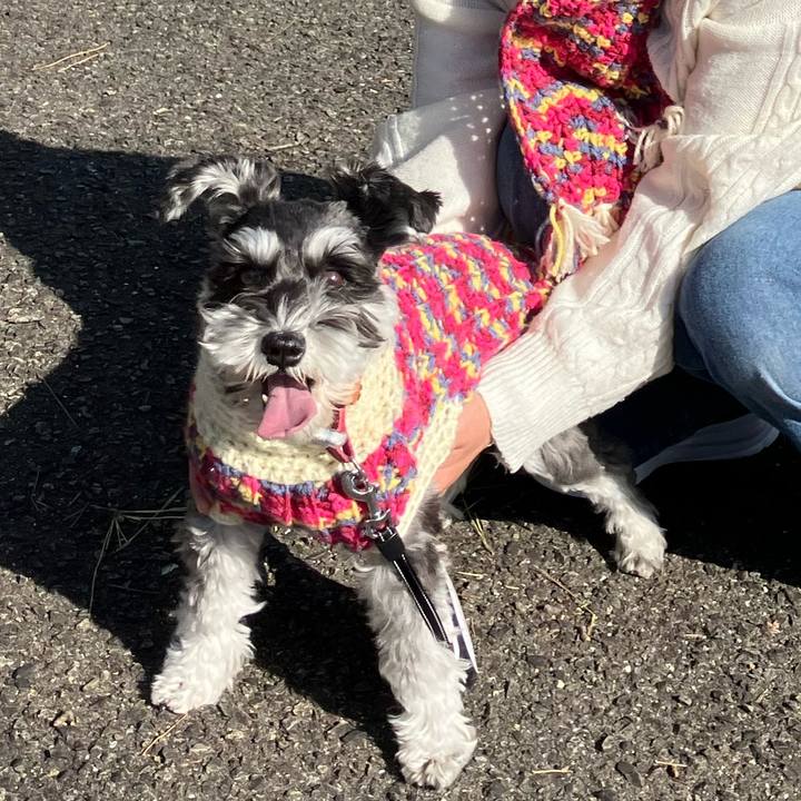 04b02b76 aa7d 43db a018 57d5f4b3c388 1768621078570