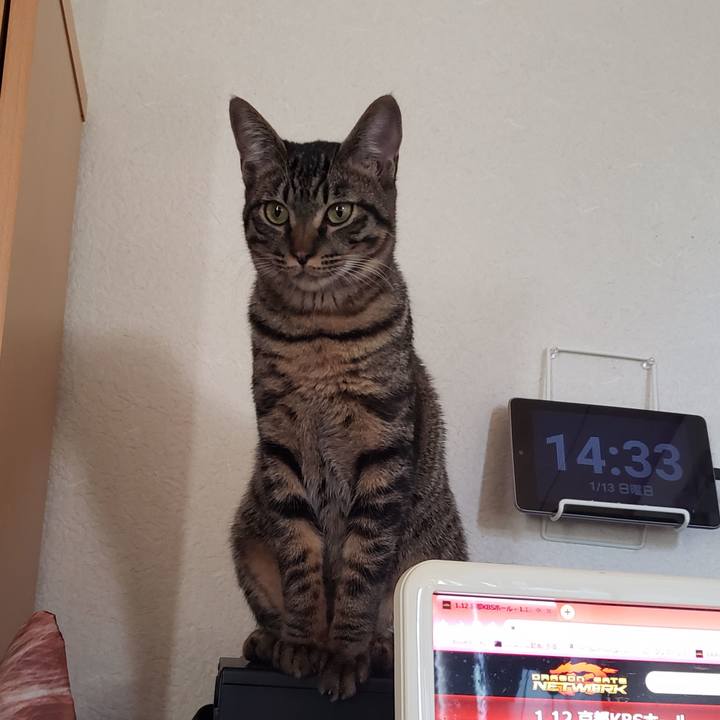 04b05807 e9c2 41e7 b67f d21217356ed6 1547357699722