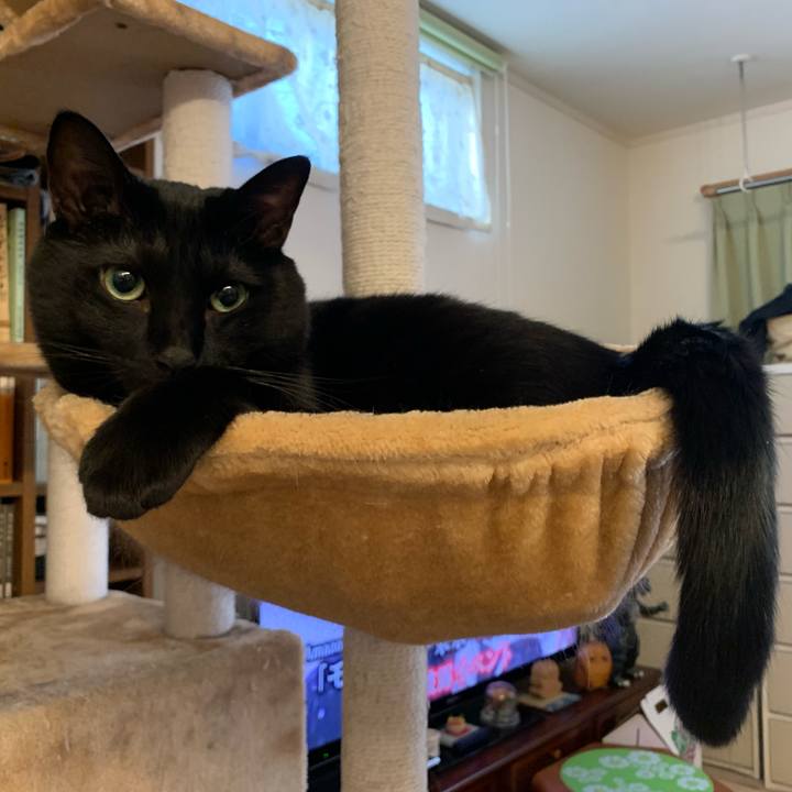 04b0670a 72d7 4c39 a33c adb2c993b786 1666157543312