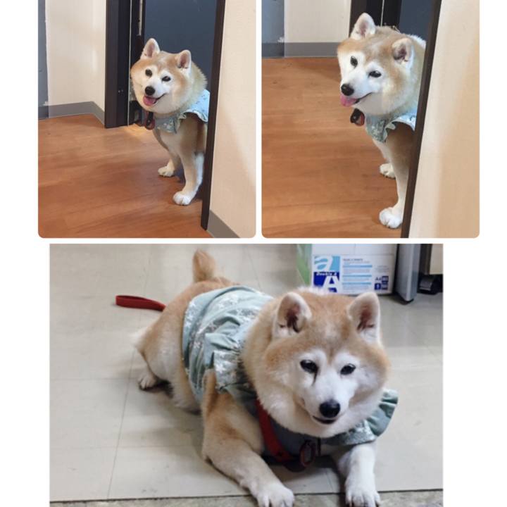 04b0a129 9b22 4d12 902d 953defbb25c5 1618230107012