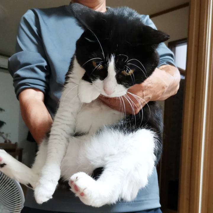 04b0dfff d3ac 425e a337 4507a929b36d 1695455529960