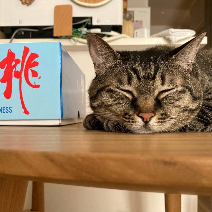 04b0e375 bec1 494c 823f a6ddb7736f53 1659223914388