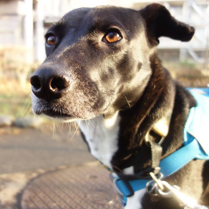 04b13f0c 0364 4457 871d af08d986fde3 1611881040088