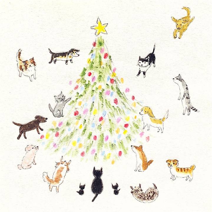 04b1410c 9186 4935 8371 ba9fba0d57e2 1671330153109