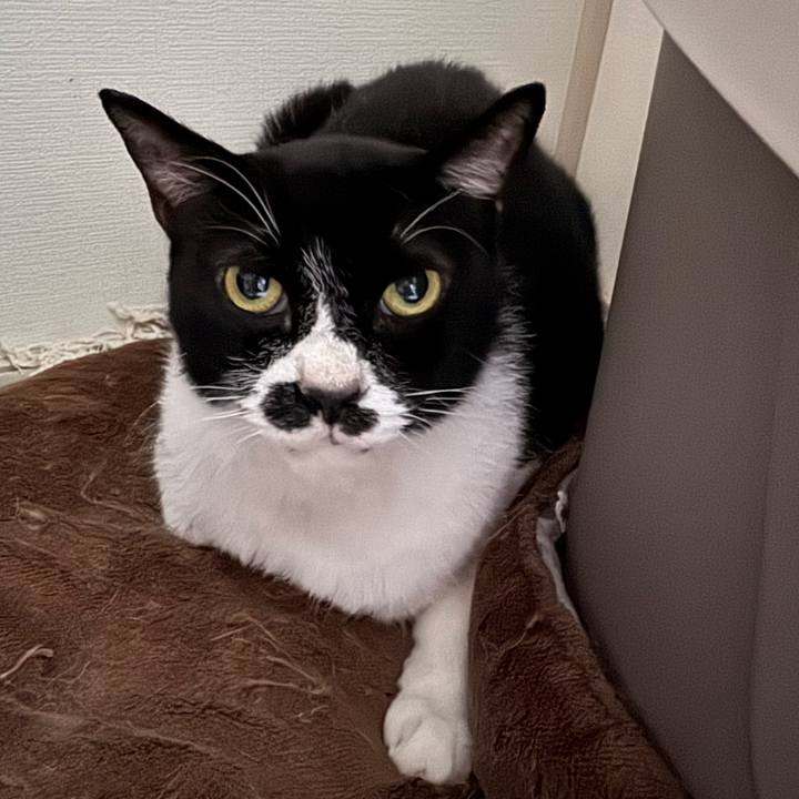 04b145e7 7210 4b69 b0f0 ef23fbff25ca 1758668669311