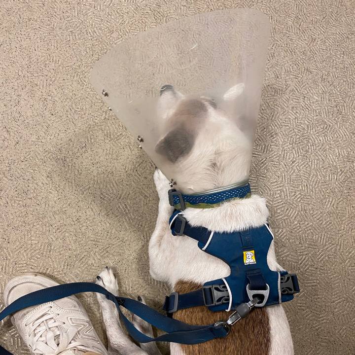 04b14d36 a0a6 4590 894e 0b7928bb49da 1666001215659