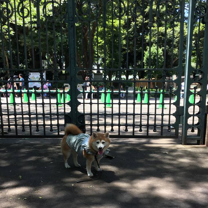 04b179f2 3770 4da8 a2d0 b33d96dd53eb 1532064727921