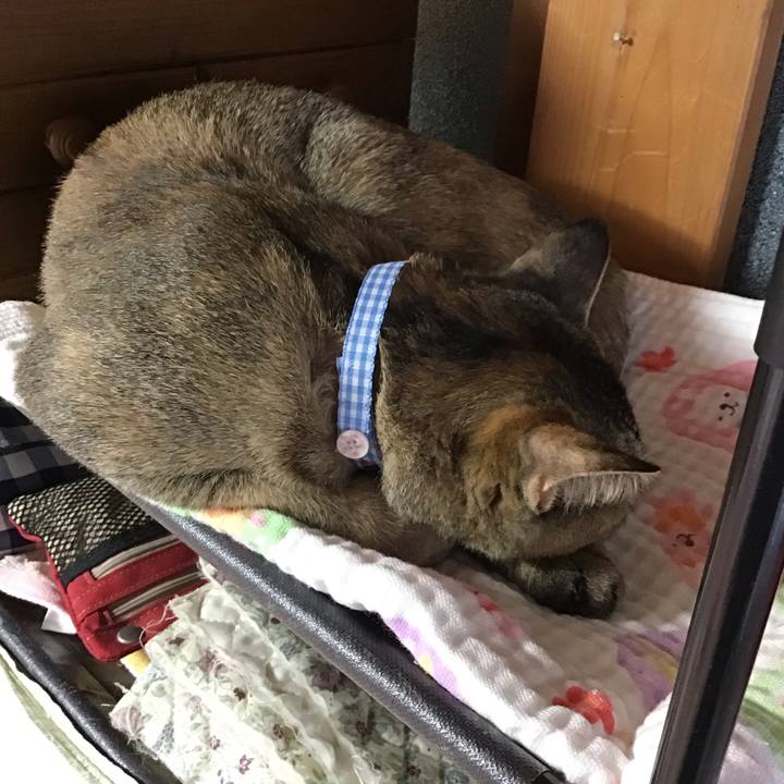 04b18fc7 ed2d 40bf bc2d 3de6c829cb89 1575689423283