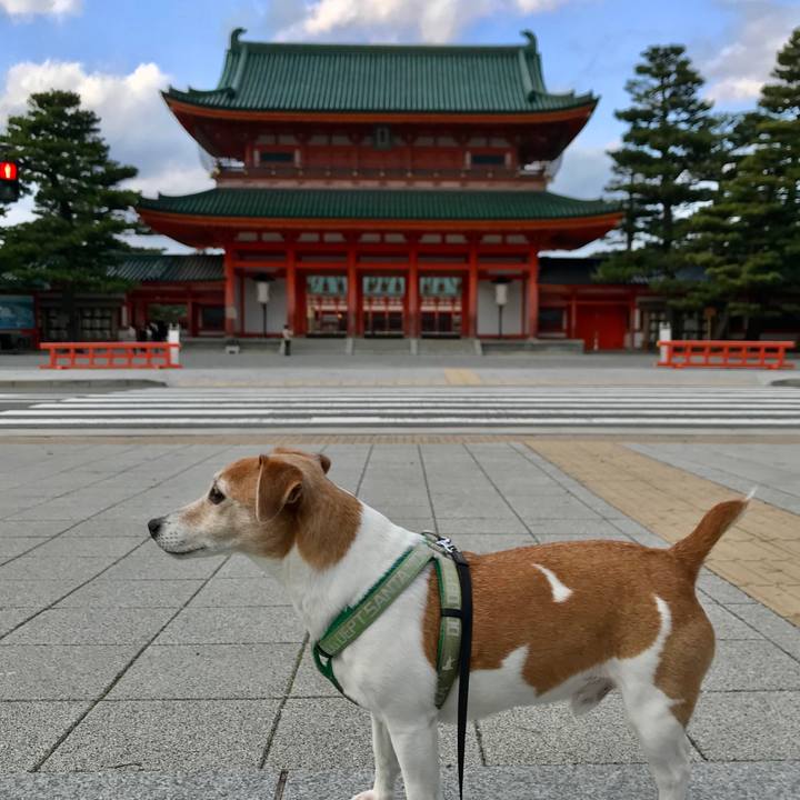 04b1b8bf 817c 4faf ae46 6fd74ecd0063 1583153079201