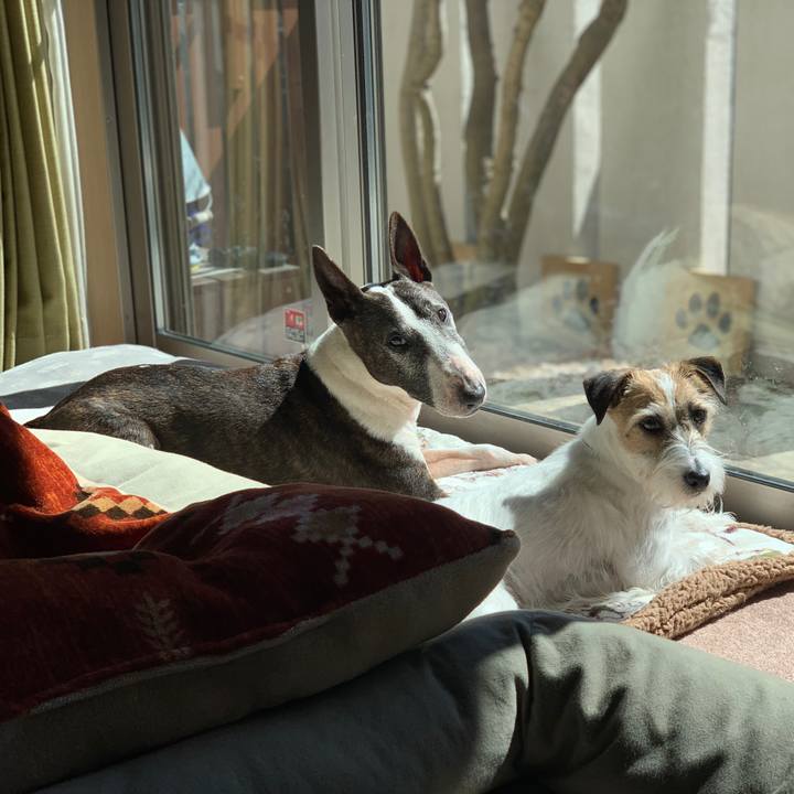 04b1be27 98e5 4ea0 a849 00c309d970a1 1615694034882